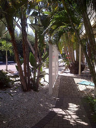 كوكوينا أون ذا بيتش Lido Key  المظهر الخارجي الصورة