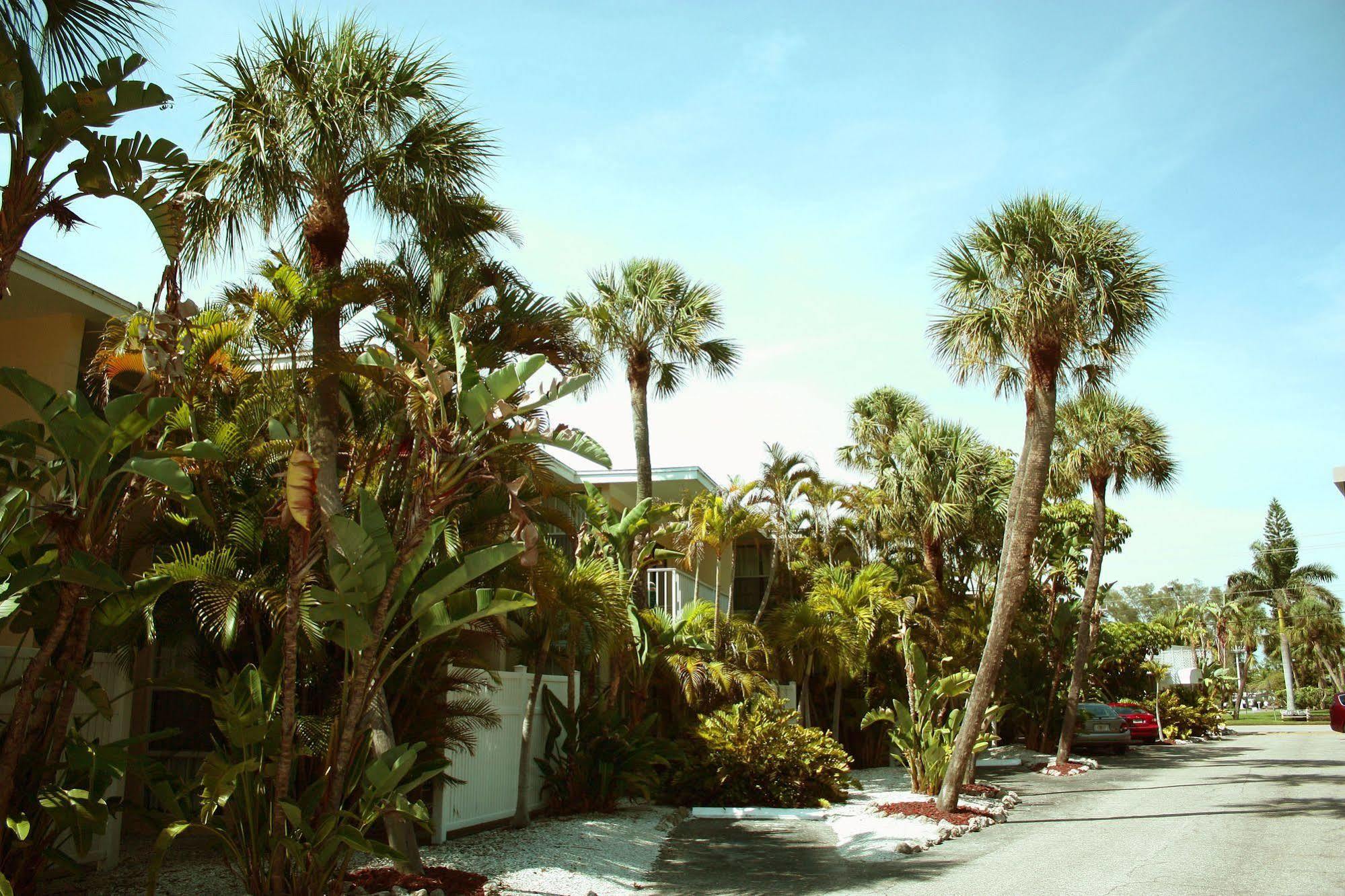 كوكوينا أون ذا بيتش Lido Key  المظهر الخارجي الصورة